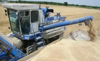 Рост валовой продукции сельского хозяйства в Казахстане на 5,4%: шаг к продовольственной безопасности страны