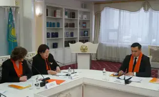 Омбудсмен: Защита от домашней агрессии требует улучшений