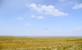 Возвращение неиспользуемых сельскохозяйственных земель в Абайской области: шаг к улучшению экономической эффективности и устойчивому развитию