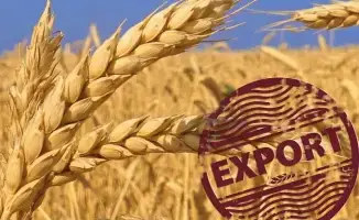 Казахстан увеличил экспорт зерна нового урожая до 2 млн тонн