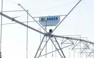 Дождь на полях: Жетісу ждет зеленое будущее!