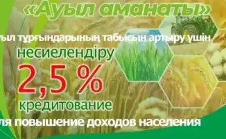 Кредиты с 2,5%: как получить 8 тыс. МРП?