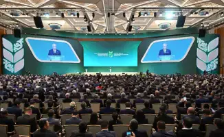 Айдарбек Сапаров: Развитие животноводства как ключевой фактор для международной конкурентоспособности АПК