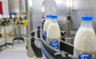 Рост промышленного производства в Алматинской области: новые возможности для инвестиций и инноваций