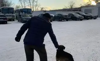 Верность пса в Павлодаре: трогательная встреча