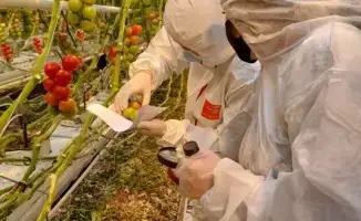 Платная фитосанитарная экспертиза: инвестиции в здоровье аграрного сектора Казахстана