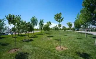 Субботники в Туркестане участие 40256 человек вывоз мусора 186 тонн