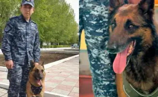 Служебные собаки раскрыли более 150 преступлений в Павлодарской области с начала года