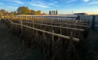 На границе тьмы: Казахстан сражается с наркотическим потоком