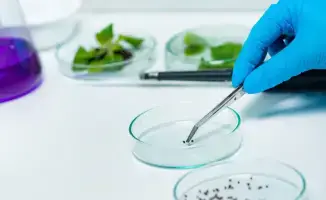 Платная экспертиза в Казахстане для продовольственной безопасности