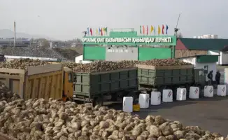 Жетісу: новый завод по переработке мяса птицы — экономический двигатель региона