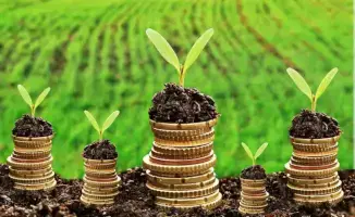 Казахстан погашает долги по субсидиям аграриям