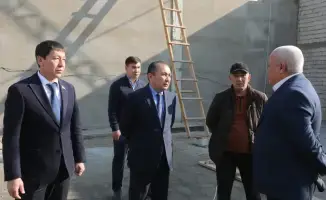 Птицеводство в Сарыагашском районе развитие производства яиц и создание рабочих мест