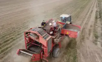 Заявки на дизтопливо для Жетісу с 1 декабря