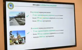 Алматы запускает масштабную программу по озеленению в рамках «Таза Қазақстан»