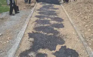 Пешеходы, внимание: 44 км новых возможностей в Абае!