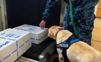 238 наркопреступлений за 10 месяцев в ЗКО