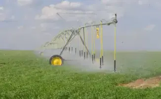 Туркестанская область: рост урожайности в агросекторе