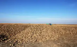 Развитие сахарной свекловодческой отрасли в Казахстане: визит Ербола Карашукеева в Меркенский район