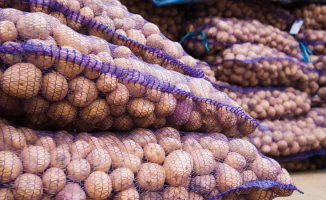 Вице-премьер Жумангарин: Картофель не дорогой, комментарий о подорожании