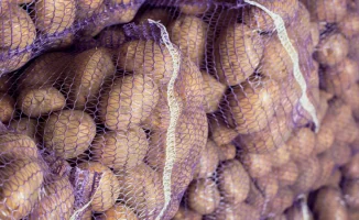 Рост цен на картофель: объяснение министра сельского хозяйства Айдарбека Сапарова