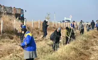 Участие двух тысяч человек в субботнике в Жетысай: коллективные усилия по улучшению экологии региона