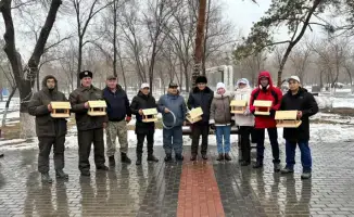 Установка кормушек в парке Майкудука: шаг к поддержанию зимующей птицы и сохранению биоразнообразия региона
