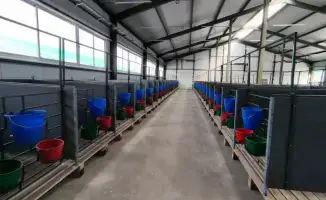 Костанайская область: молочный источник на 1200 голов готов к бурному росту