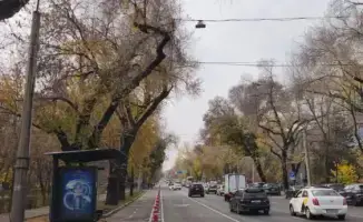 В Алматы начался демонтаж боллардов для зимней уборки дорог, обеспечивая сохранность велосипедной инфраструктуры