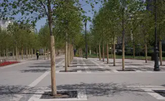 В Астане стоимость импортной липы сопоставима с полугодовой минимальной пенсией казахстанцев, заявляет депутат маслихата Владислав Сергеев