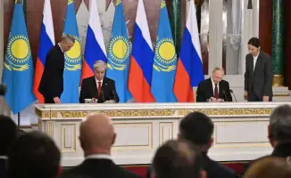 Тигры из России: новый дом в Казахстане!