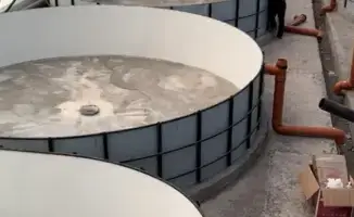 Рыбный бизнес: 348 млн тенге в Восточном Казахстане!