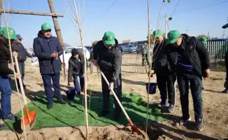 ТУРКЕСТАН: ЛЕСНАЯ СИМФОНИЯ В КАЗЫГУРТЕ — 5000 ДЕРЕВЬЕВ ЗАЗЕЛЕНЕЛИ В РАМКАХ «ТАЗА ҚАЗАҚСТАН»