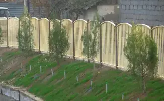 Осенняя акция по посадке деревьев в Келесе