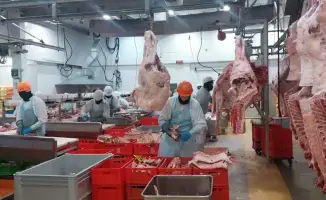 Рост экспортного потенциала Казахстана: четыре новых предприятия в Реестре импортеров ОАЭ