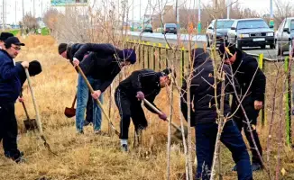 В Кызылординской области завершились массовые субботники в рамках экологической программы