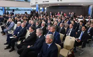 Фанерный завод откроется в Эстонии