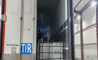 Нелегальная миграция: риски и последствия для жизни мигрантов