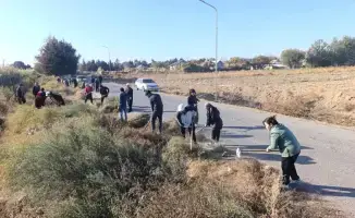 Жители Жетысая собрали 18 тонн мусора в рамках акции "Таза Қазақстан"