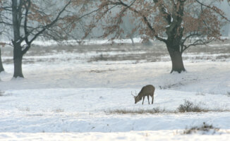 Циклон на подходе: снег и морозы в Казахстане!