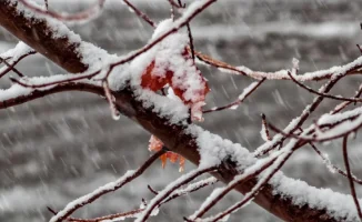 Казахстан в снежном плену: зима стучится в двери с метелями и морозами с 2 по 5 ноября