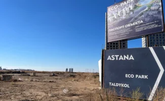 Миллиарды на пустырь: международный проект экопарка возле озера Малый Талдыколь в Астане всё ещё остаётся на стадии концепции