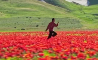 Instagram представил Казахстан миру: видео с живописными пейзажами страны завоевало внимание пользователей