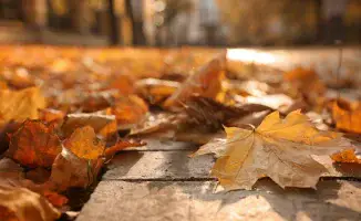 Теплая осень в Казахстане: прогноз погоды на 25-27 ноября