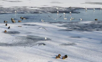 Неожиданные погодные сюрпризы ожидают казахстанцев в конце ноября