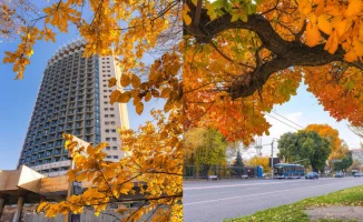 Последние дни золотой осени в Алматы вдохновили популярного фотографа на создание серии впечатляющих кадров, которые привлекли внимание пользователей сети. Фотограф запечатлел, как город прощается с осенью, демонстрируя яркие краски и атмосферу сезона. Эт