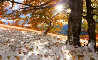 Погода в ноябре: снег и потепление до +25 в Казахстане по прогнозу Казгидромета