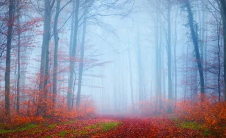 Туман и холод: погода в Астане и Алматы на 13-15 ноября