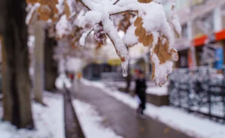 Теплее, чем когда-либо: Казахстан встречает зиму с новым климатическим дыханием