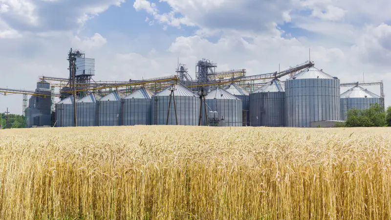 Цифровизация сельского хозяйства: новый шаг к улучшению жизни фермеров в Казахстане Астане